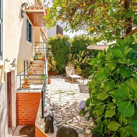Studio&garden Apartment